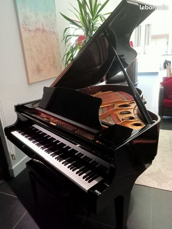 Piano à queue 5